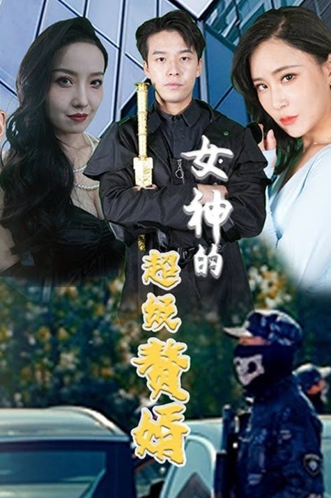 女神的超级赘婿 高清播放 粤语版