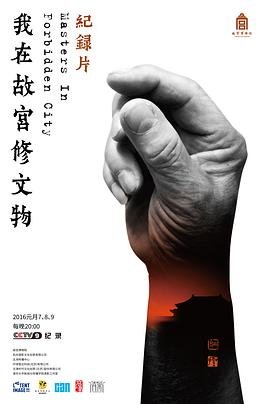 我在故宫修文物 电影 精彩 蓝光中字