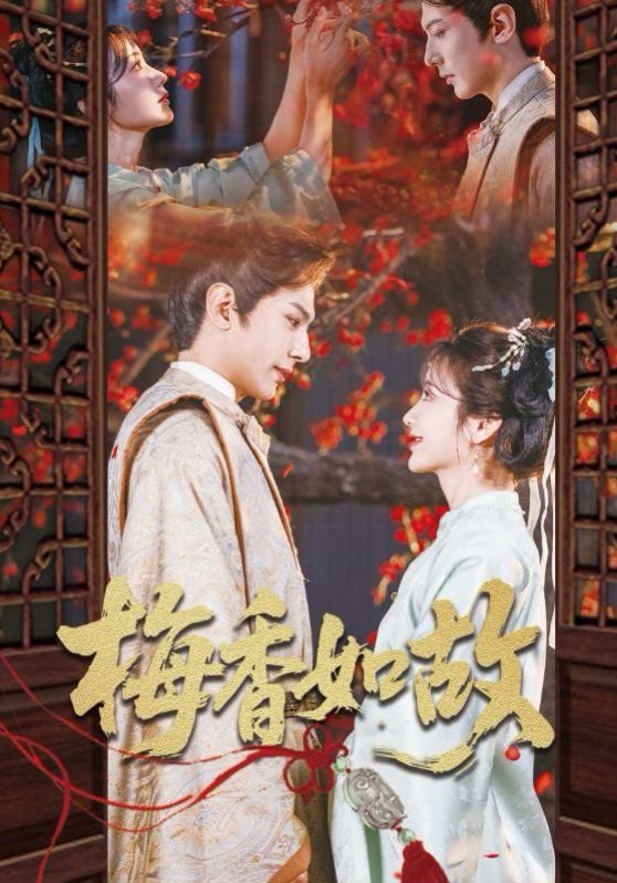 梅香如故 2025最新 全集