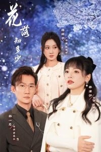 花落知多少 热播中 完整版高清