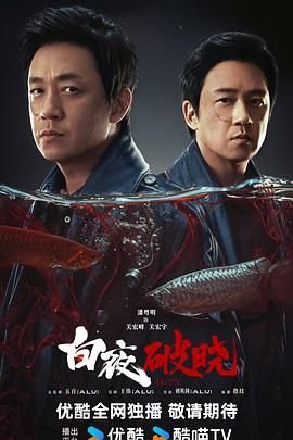 白夜破晓 流畅播放 最新更新