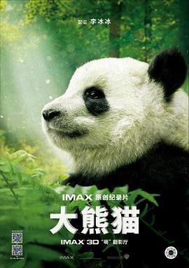大熊猫为什么被称为国宝 高清观看 清晰版