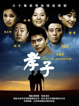 孝子电视剧 手机在线 特别篇