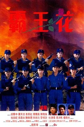 霸王花煲汤 高清在线播放 完结版